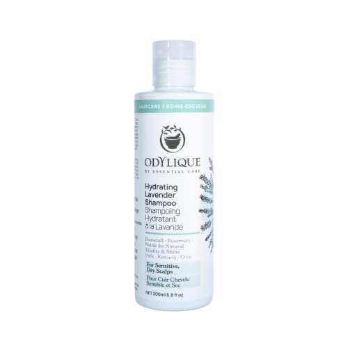 Odylique Organic & Natural Lavender Moisturizing Shampoo 200ml | Veganes & 100% natürliches Shampoo | Sulfatfreies Shampoo & silikonfreies Shampoo | Salzfreies Shampoo | Feuchtigkeitsshampoo