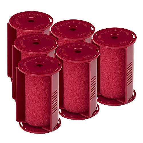 Caruso Professional Molecular Steam Rollers With Shields Large (6-Pack) by Caruso